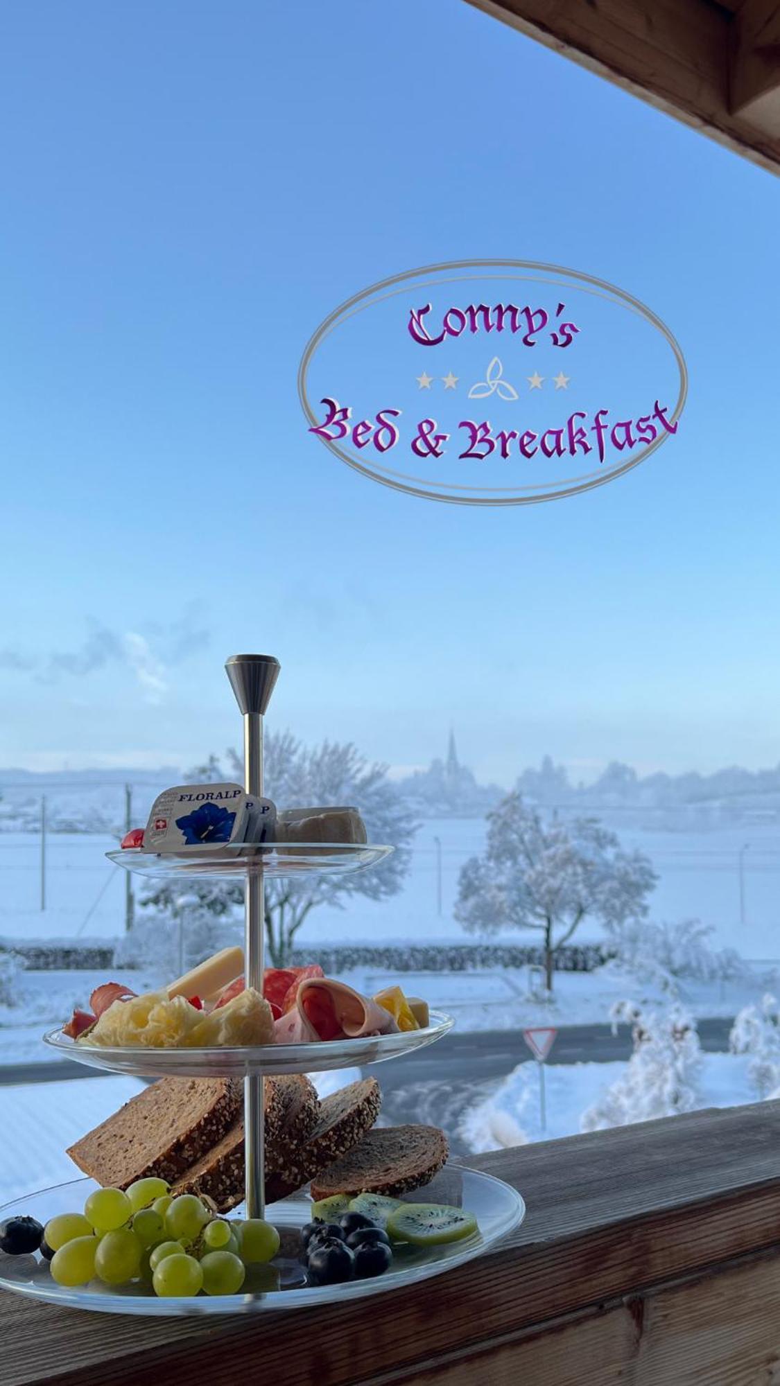 Conny'S B&B Niederweningen エクステリア 写真