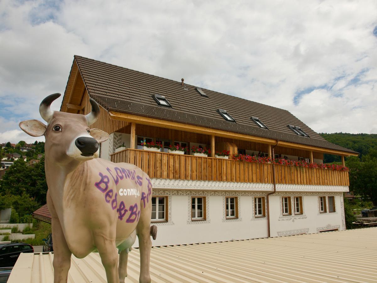 Conny'S B&B Niederweningen エクステリア 写真