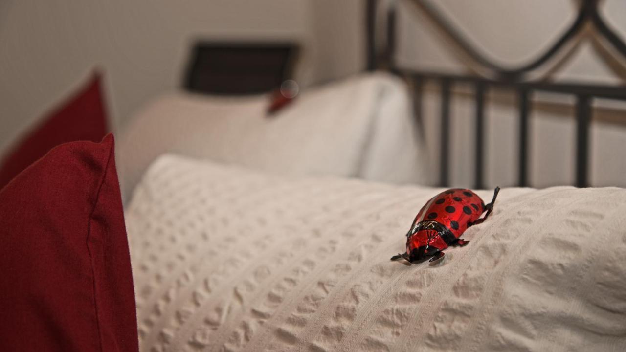 Conny'S B&B Niederweningen エクステリア 写真